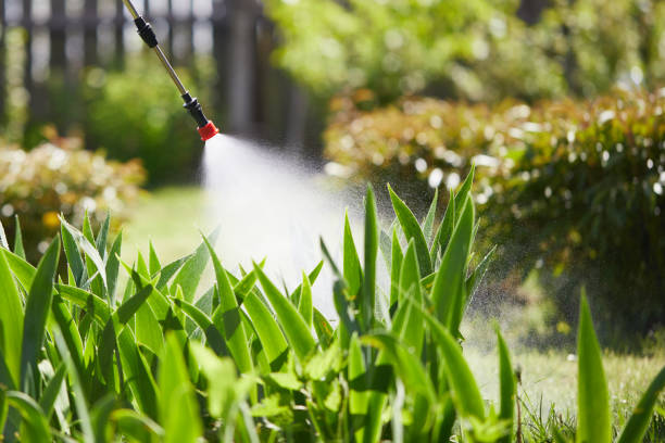 Tamper-Resistant Bait Stations for Rodents in The Hills
