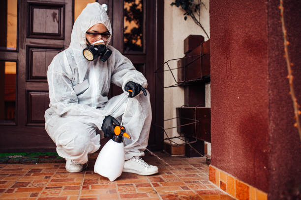 Attic and Crawl Space Rodent Treatment in The Hills