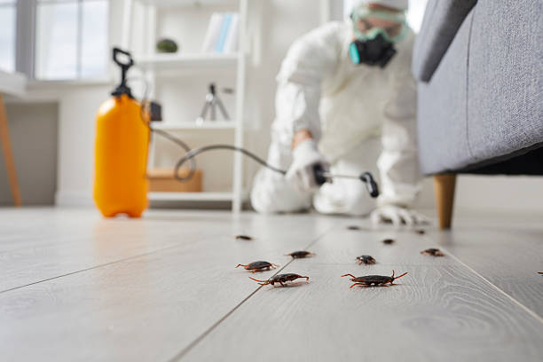 Commercial Rodent Management in The Hills